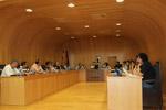 Imagen El pleno de la comarca de los Monegros, contra la guerra de Irak