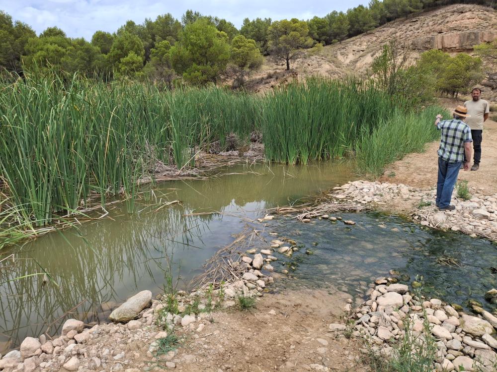 Imagen La Comarca de Los Monegros estudia impulsar una ruta por los humedales CreamAgua para dar a conocer este patrimonio natural